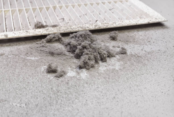 Best Dryer Vent Cleaning Services  in Hiram, GA